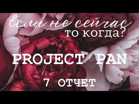 Видео: PROJECT PAN 2025 ОТЧЕТ 7