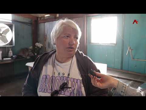 Видео: Адгьыл шәанызар, уи қәнагала ахархәаразы ахшыҩҵак шәымазар, ақыҭанхамҩа аминистрраҿы ишәзыҧшуп