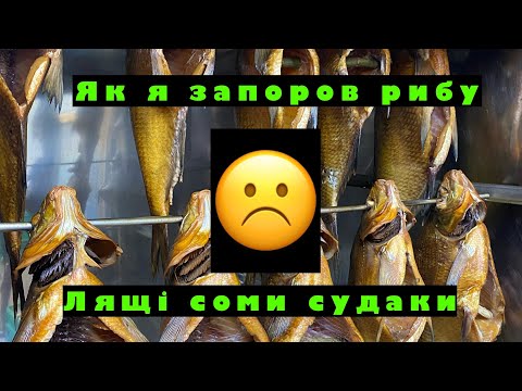 Видео: Як я запоров кучу класної риби// лящі судаки соми