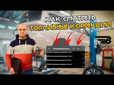 Видео: ТОПЛИВНЫЕ КОРРЕКЦИИ. Как их СМОТРЕТЬ и ЗАЧЕМ