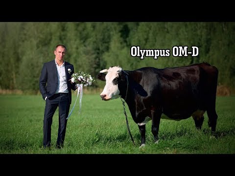 Видео: Свадьбы на Олимпус  ( Полёт нормальный)