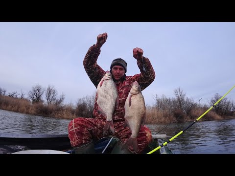 Видео: ОГО! БОРА ГИГАНТ, как ЛЕЩ. КРУПНАЯ ГУСТЕРА НА ВСЕХ КРЮЧКАХ. Зимняя рыбалка на донку без льда.