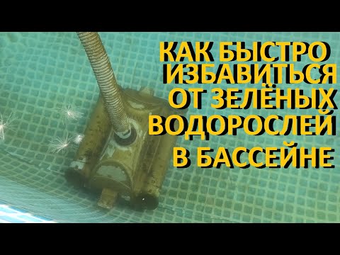 Видео: Каркасный бассейн Как быстро избавиться от зелёных водорослей