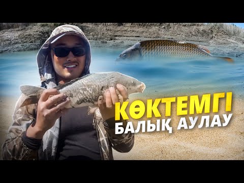 Видео: КӨКТЕМГІ БАЛЫҚ АУЛАУ. САЗАН БАЛЫҒЫН АУЛАУ. ( ҚЫЗЫЛОРДА ОБЛЫСЫ )