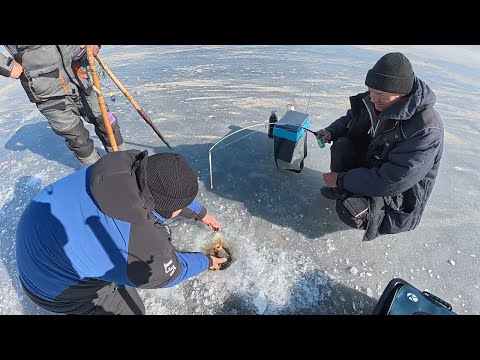 Видео: Ловля САЗАНА зимою на боковий кивок, Рибалка на сазана