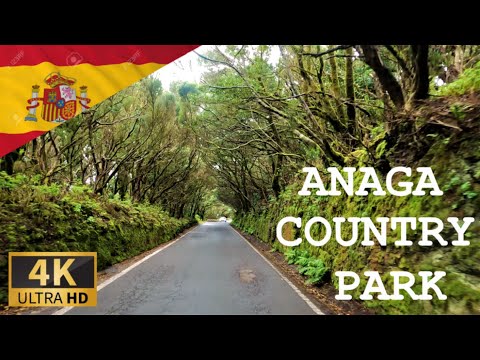 Видео: ВОЖДЕНИЕ В ЗАГОРОДНОМ ПАРКЕ АНАГА, Тенерифе, КАНАРСКИЕ ОСТРОВА, ИСПАНИЯ I 4K 60fps