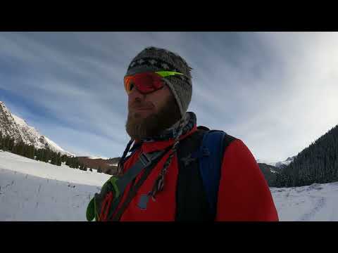 Видео: В поисках диких животных. Фото-охота 2-серия, 11.11.2023