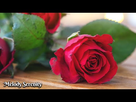 Видео: Падал снегснег🌺Самая красивая мелодия в мире🌿Лучшие композиции Сергея Грищука #6