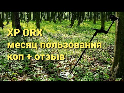 Видео: XP ORX отзыв + коп после месяца пользования