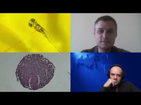 Видео: 1154. В.С. Покровский: Можно ли заразиться раком. Откуда берутся раковые опухоли