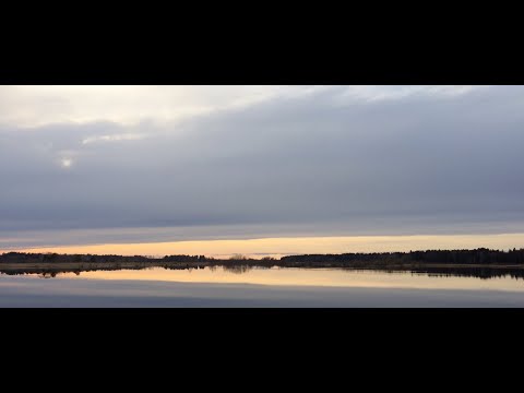 Видео: Кумёны, Кировская область, большой водоём