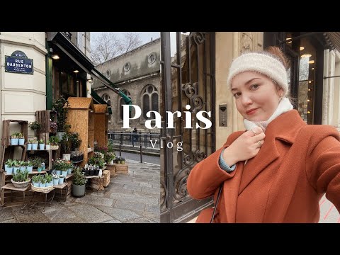 Видео: Париж в Феврале 🇫🇷 | Лувр, Книжный и Кофе | VLOG часть 1