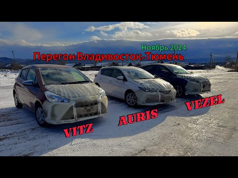 Видео: Перегон Владивосток-Тюмень. TOYOTA VITZ,AURIS. HONDA VEZEL. Ноябрь 2024