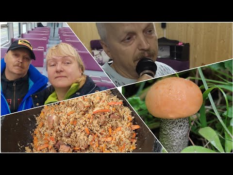 Видео: На даче у друзей// Плов от А.Челентано //Караоке // день второй