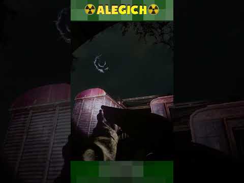 Видео: Это ещё что такое?. Прохождение STALKER ANOMALY 1.5.3 GAMMA 0.9.4 #alegich #gaming #stalker