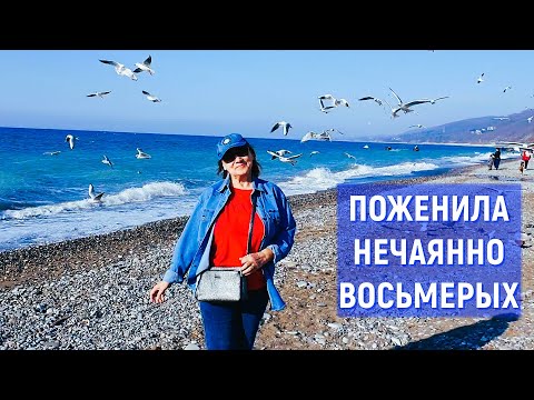 Видео: Зимуем у моря на пенсии. Где? Как? Сколько? Лазаревское, Сочи