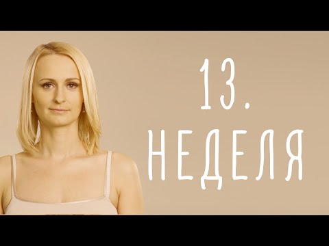 Видео: 13. неделя беременности