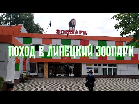 Видео: Поход в Липецкий зоопарк
