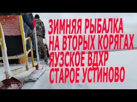 Видео: Зимняя рыбалка на вторых корягах. Яузское водохранилище база Старое Устиново. Поиск рыбы. Часть 1