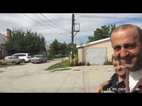 Видео: #Pigeons.Голуби для друзей. 