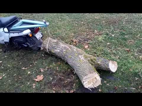 Видео: Скутер Хонда Бенли в деревне.