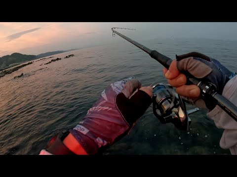 Видео: Пора Сибаса. Морская рыбалка с берега в Южной Корее