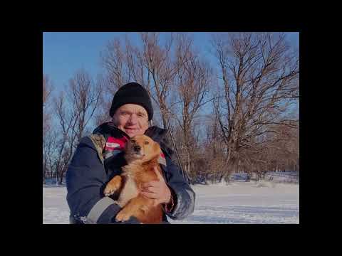 Видео: После Старого Нового года!