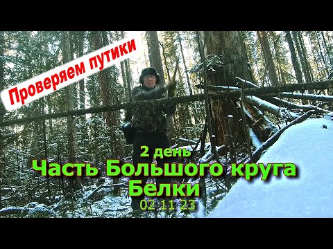 Видео: 2 день Часть Большого круга Белка 2 11 23