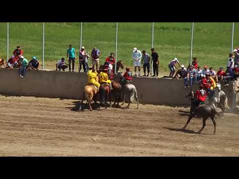 Видео: Ак Суу     Достук Кубок Президента 2016 #Кокбору