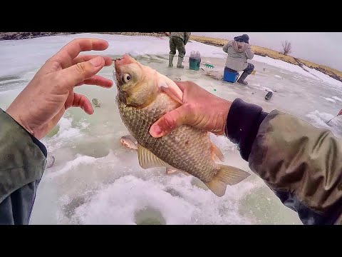 Видео: КАРАСЬ СОШЕЛ С УМА!!! ВОТ ЭТО РЫБАЛКА!! КАРАСЬ СО ЛЬДА на МОРМЫШКУ!