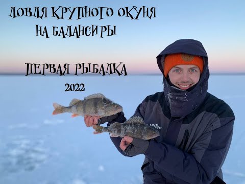 Видео: Ловля крупного окуня на балансиры! Окунь в Коряжнике! Первая Рыбалка 2022!