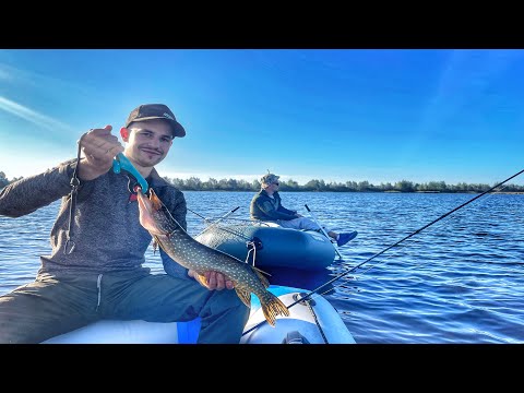 Видео: ТРОФЕЙНА ЩУКА чи дрібний окунь?РОЗВІДКА на СТАВУ