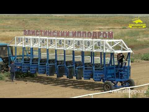 Видео: Приз Большой Элистинский Дерби 22.08.2021г