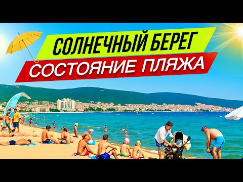 Видео: ЧАЙКА - ЧТО ТВОРИТСЯ НА ПЛЯЖЕ?! Солнечный Берег сегодня 😱 Гларус отель