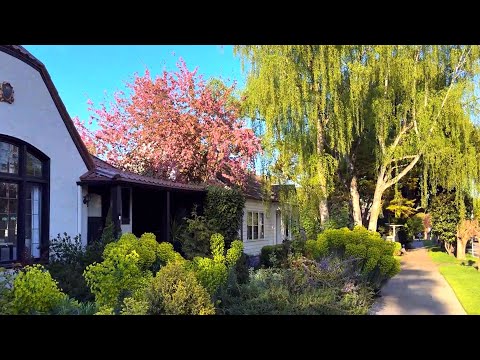 Видео: Цветущие улицы и поющие птицы — прогулка для души.