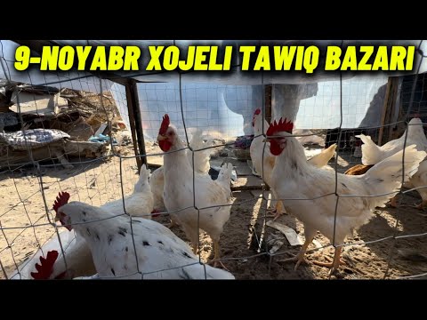 Видео: 9-НОЯБРЯ ХОЖЕЛИ ТАУЫК БАЗАРЫ БАХАЛАРЫ