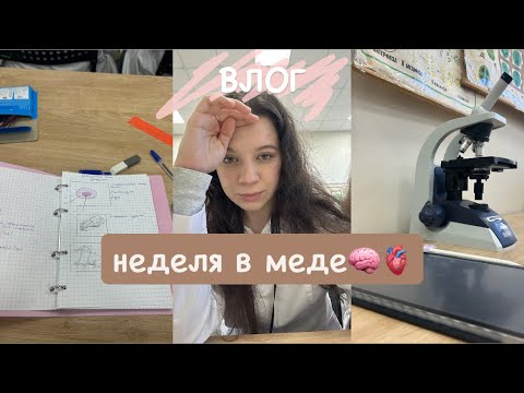 Видео: влог: первая неделя в медицинском👩🏻‍⚕️
