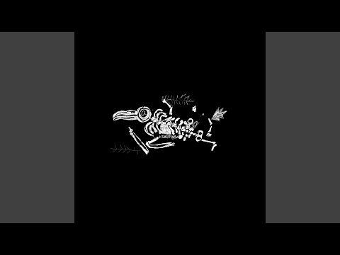 Видео: атлантида