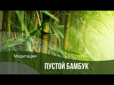 Видео: Медитация "Пустой Бамбук"