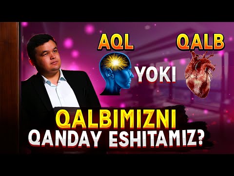 Видео: Ақл йоки Қалб Қалбимизни қандай эшитамиз