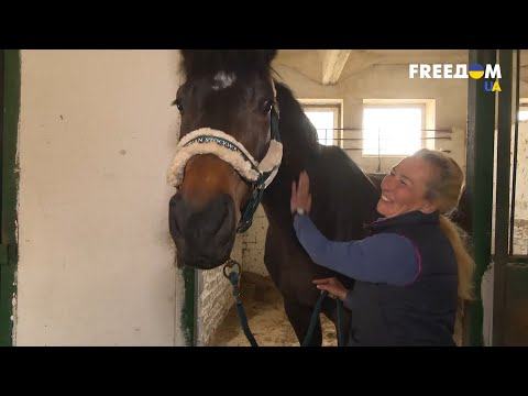 Видео: На Львовском ипподроме принимают эвакуированных лошадей