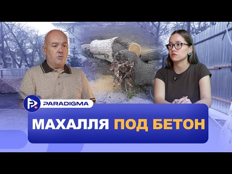 Видео: Как пилотный проект лишает Ташкент деревьев?