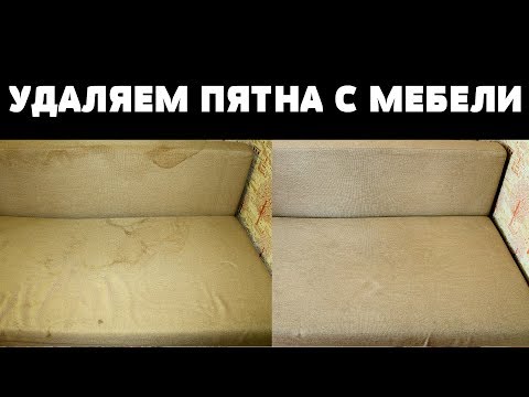 Видео: ТЫ ЛЕГКО ОЧИСТИШЬ МЕБЕЛЬ ОТ ПЯТЕН, ЕСЛИ ВОЗЬМЕШЬ...