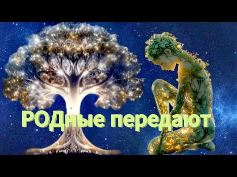 Видео: 🌳 РОДные передают 💪🏼😈🦋