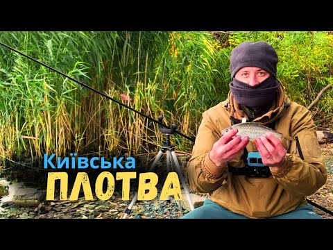 Видео: Дніпро закипів | Шалений кльов плотви