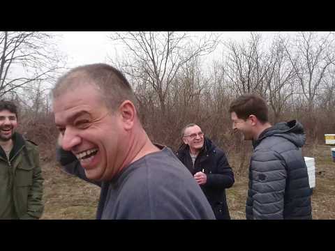 Видео: 20 000 маточников,  Golden Bee,  Сербия.