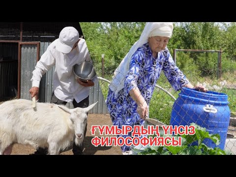 Видео: Ғұмырдың үнсіз философиясы