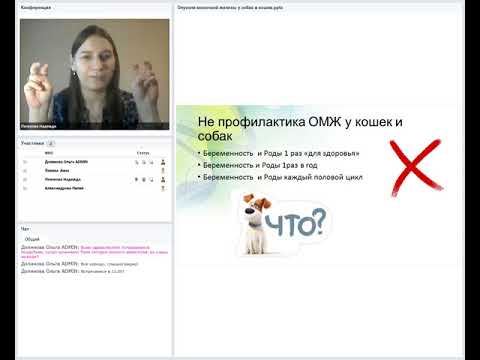Видео: Опухоли молочной железы у собак и кошек. Лектор- Лелекова Надежда 09 02 2019