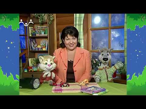 Видео: Вечер в Шишкином Лесу. Быт. В темноте