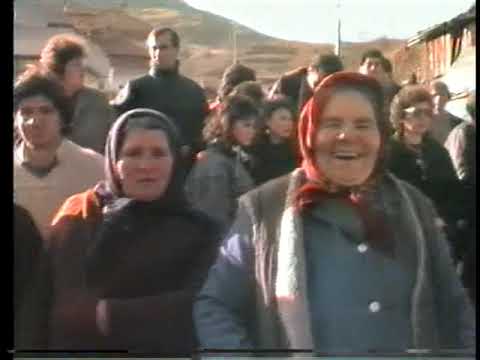 Видео: БАБУГЕРИ МОСОМИЩЕ